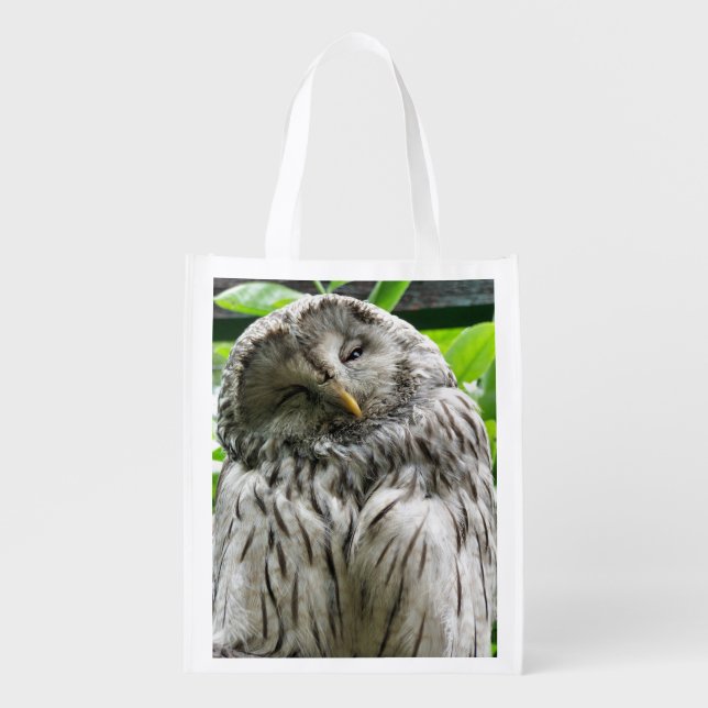 OWL REUSABLE GROCERY BAG (Front)