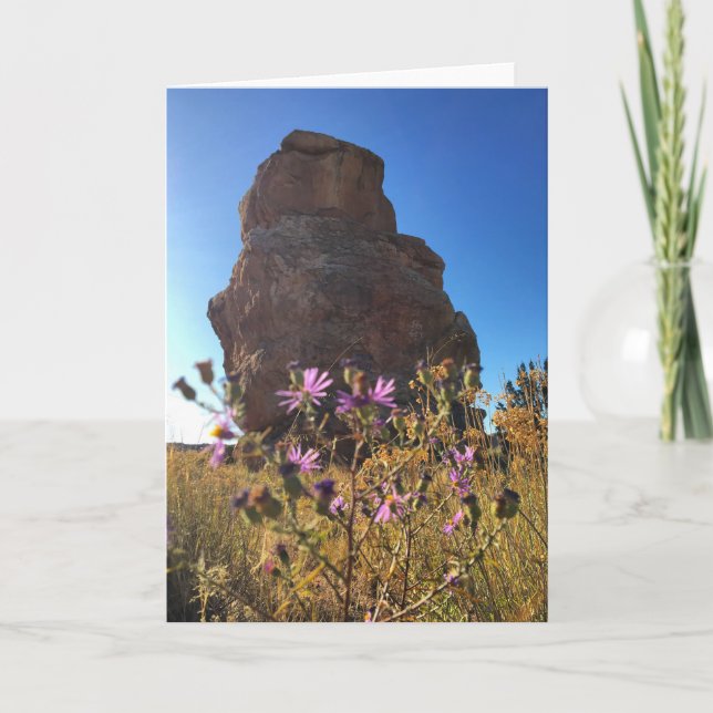 owl rock greeting card (blank inside) (Front)