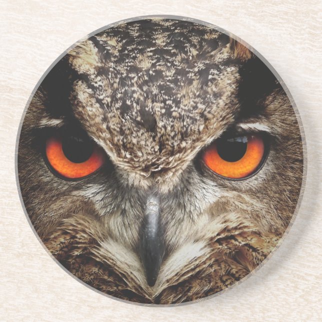 Owl Sandstone Coaster (Front)