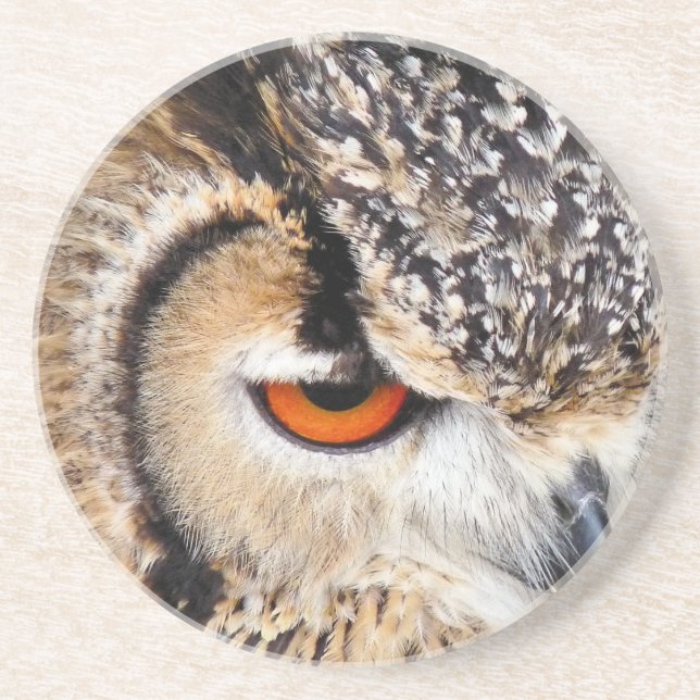 OWL SANDSTONE COASTER (Front)