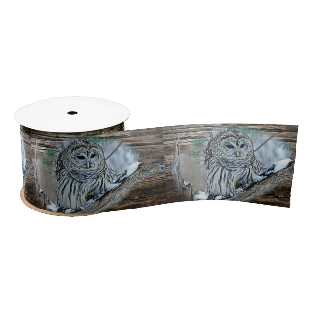 Owl Satin Ribbon (Spool)