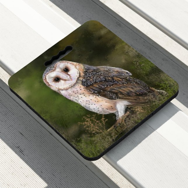 Owl Seat Cushion (In Situ)