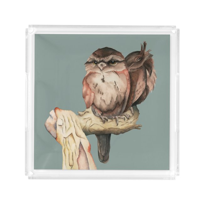 Owl Siblings Watercolor Portrait