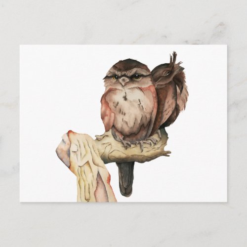 Owl Siblings Watercolor Portrait Postcard