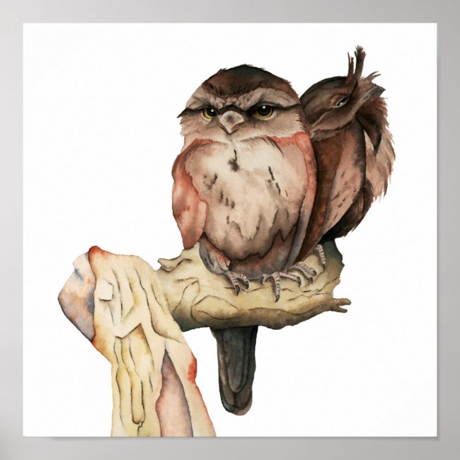 Owl Siblings Watercolor Portrait Poster
