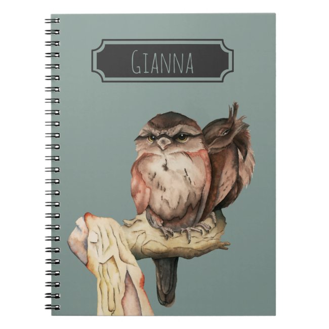 Owl Siblings Watercolor Portrait with Name
