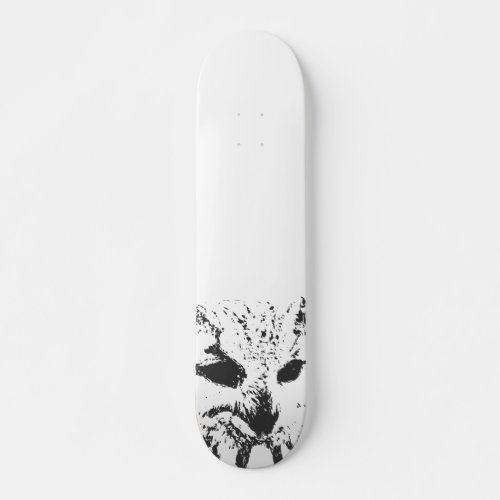 Owl Skateboard