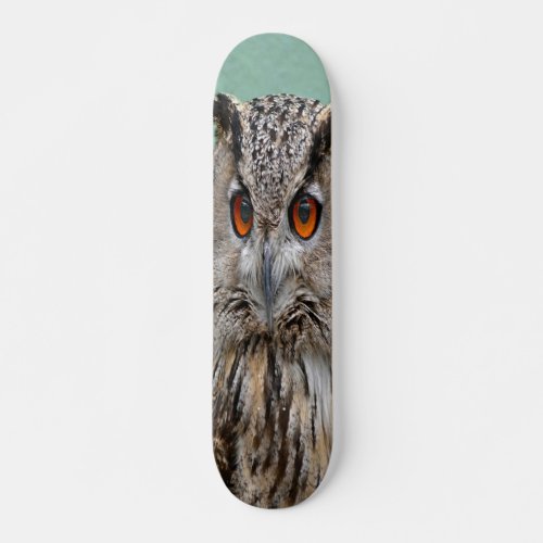 owl skateboard