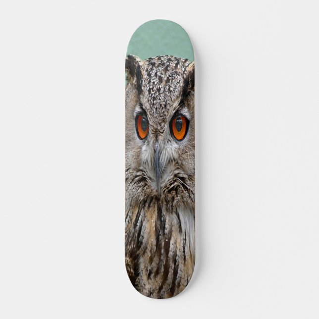 owl skateboard deck (Front)