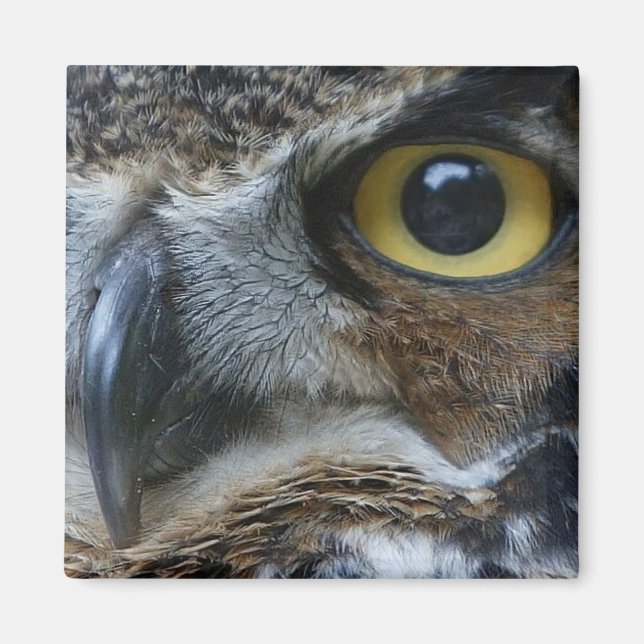Owl Square Magnet (Front)