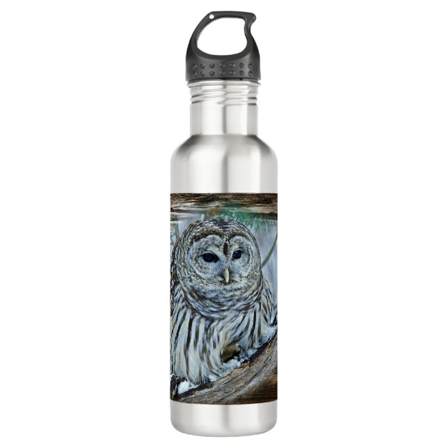 Owl Stainless Steel Water Bottle (Front)