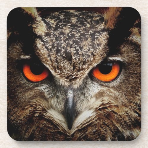OWL stare Beverage Coaster