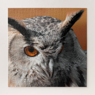 Owl Stare Jigsaw Puzzle