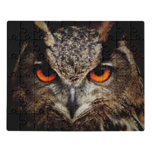 OWL stare Jigsaw Puzzle
