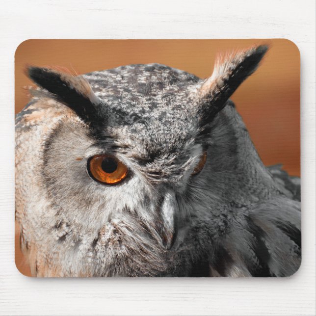 Owl Stare Mouse Pad (Front)
