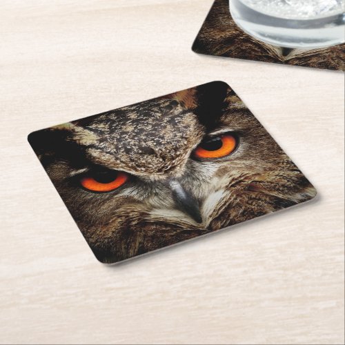 OWL stare Square Paper Coaster