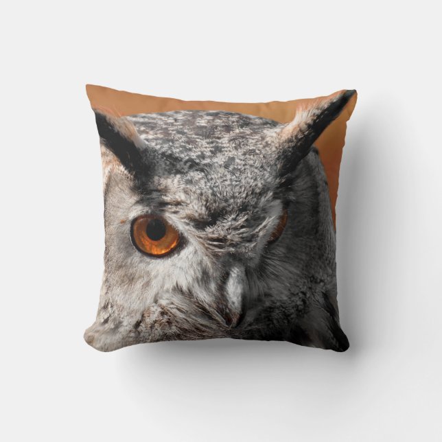 Owl Stare Throw Pillow (Front)