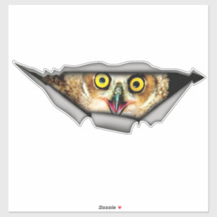 Owl sticker, car decal, Vinyl decal,Car decoration Sticker