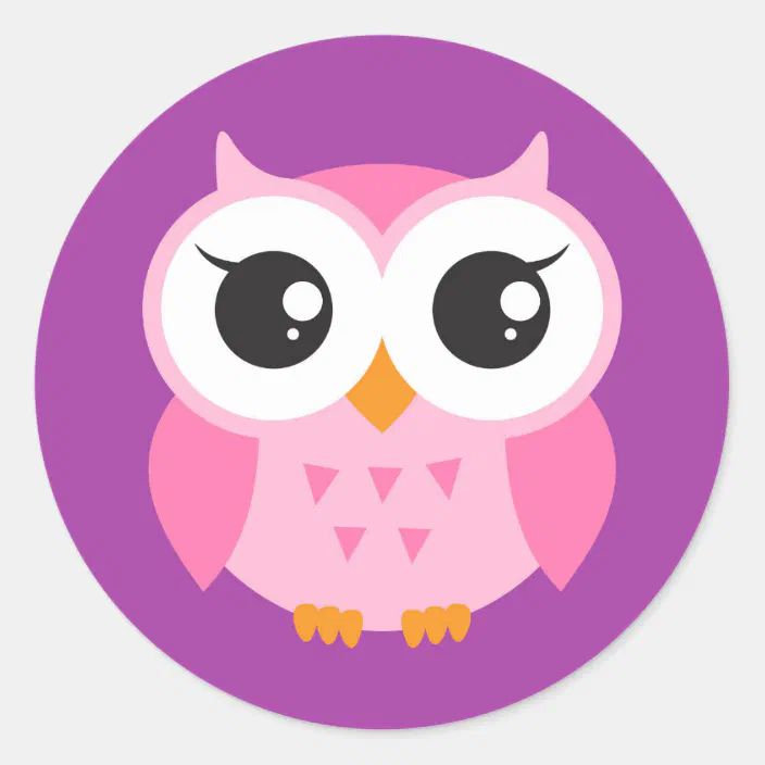 1 Full Sheet of 24 OWLS Pink Orange Purple Teal Owl Stickers Owl Stickers 