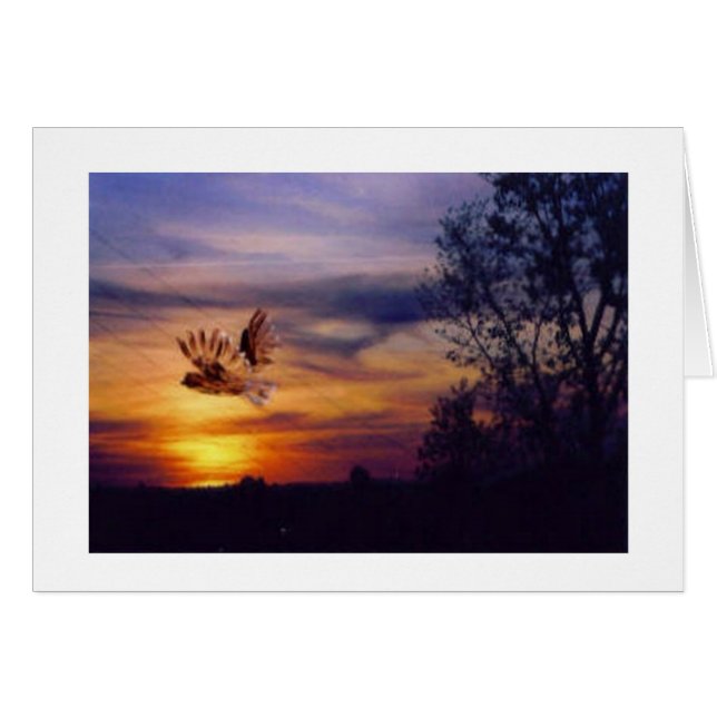 Owl Sunset Photo Cards (Front Horizontal)