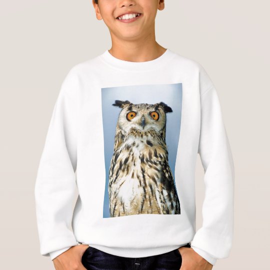 Owl Sweatshirt