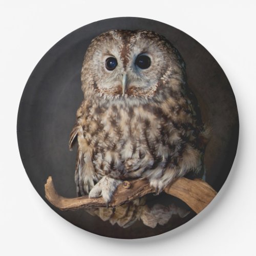 Owl Symbol of wisdom Paper Plates