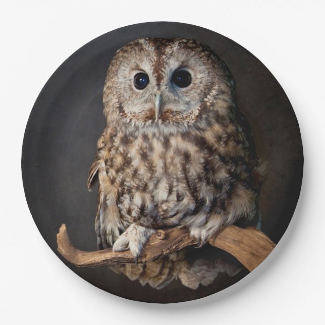 Owl Symbol of wisdom Paper Plates (Front)
