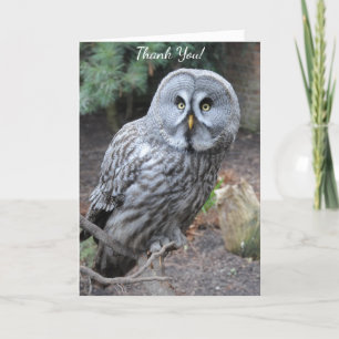 Owl Thank You Card