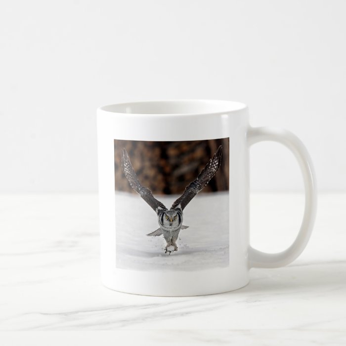 Owl Themed Mugs, Magnets, Necklaces and more