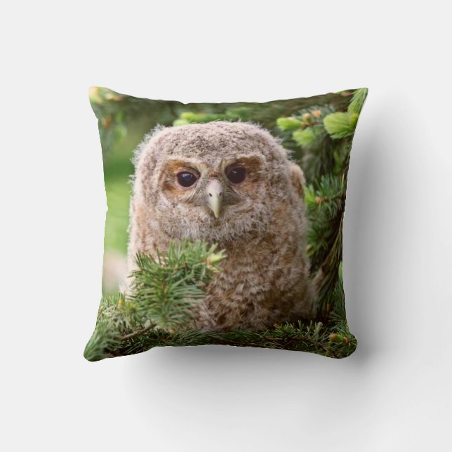 Owl Throw Pillow (Back)