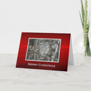 Owl Tree Forest Photo Christmas Holiday Card