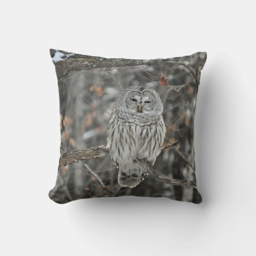 Owl Tree Forest Photo Throw Pillow