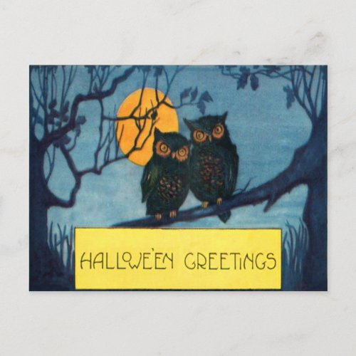 Owl Tree Night Full Moon Halloween Postcard