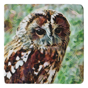 OWL TRIVET