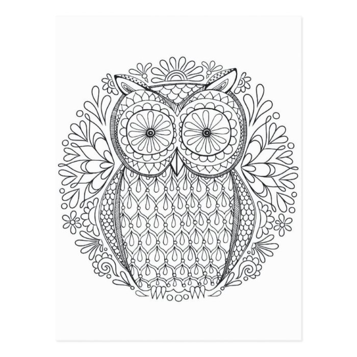 Download owl two sided adult coloring postcard gift | Zazzle