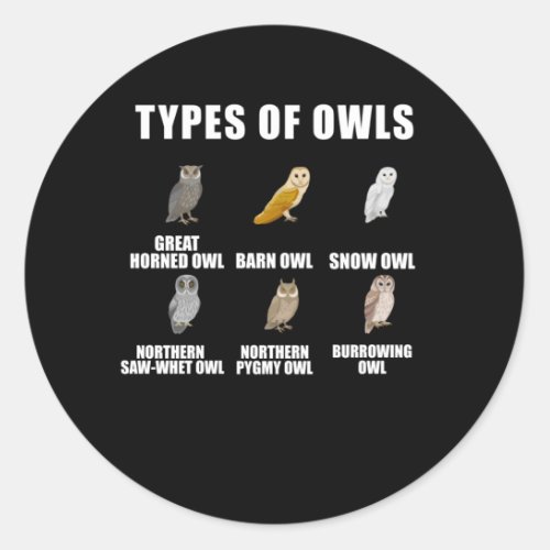 Owl Types Snow Barn Birdwatching Love Birds Classic Round Sticker