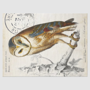 Owl Vintage French Postmark Decoupage Tissue Paper