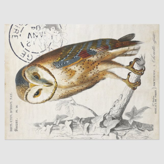 Owl Vintage French Postmark Decoupage Tissue Paper (Front)