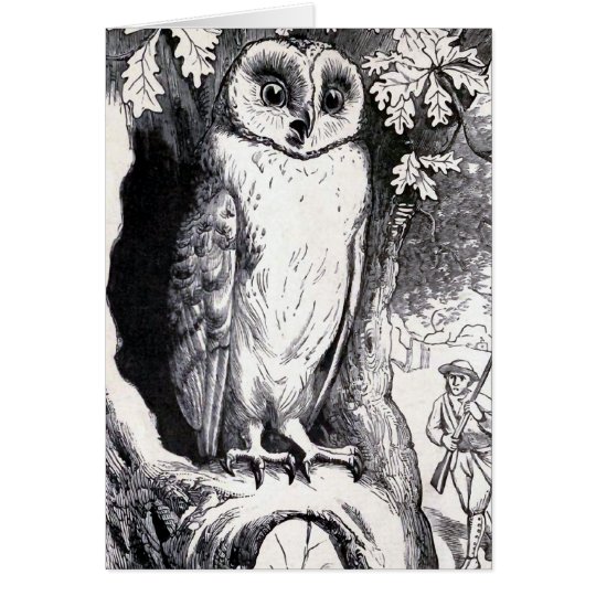 "Owl" Vintage Illustration Card
