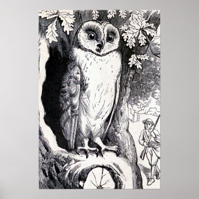 "Owl" Vintage Illustration Poster (Front)
