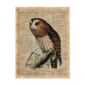 Owl Vintage Illustration Zoology Dictionary Art Postcard