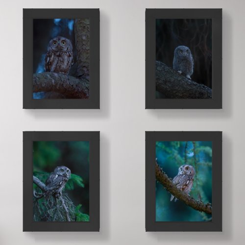 Owl Wall Art Print Set