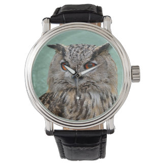 Owl Watch