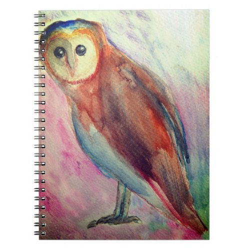 Owl Watercolor art drawing  Notebook