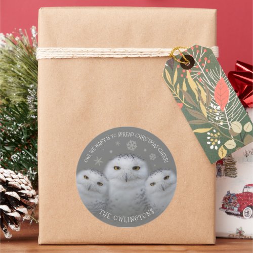 Owl We Want Spread Christmas Cheer Snowy Owls Classic Round Sticker