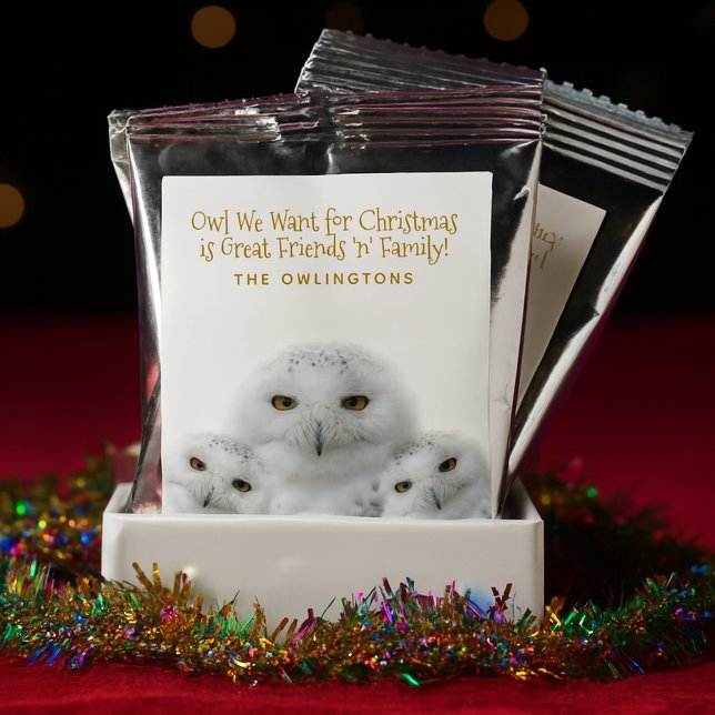 Owl We Want Spread Christmas Cheer Snowy Owls Coffee Drink Mix (Trio of Snowy Owls Coffee Drink Mix Cover Photo)