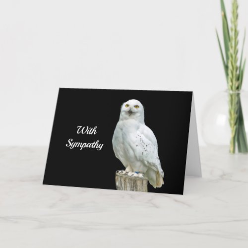 Owl White Log Photo Sympathy Card