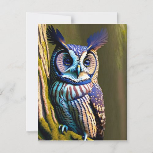 Owl wild animal bird park  postcard