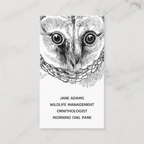 Owl Wildlife Occupation Business Card