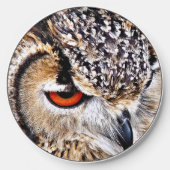 OWL WIRELESS CHARGER (Front)